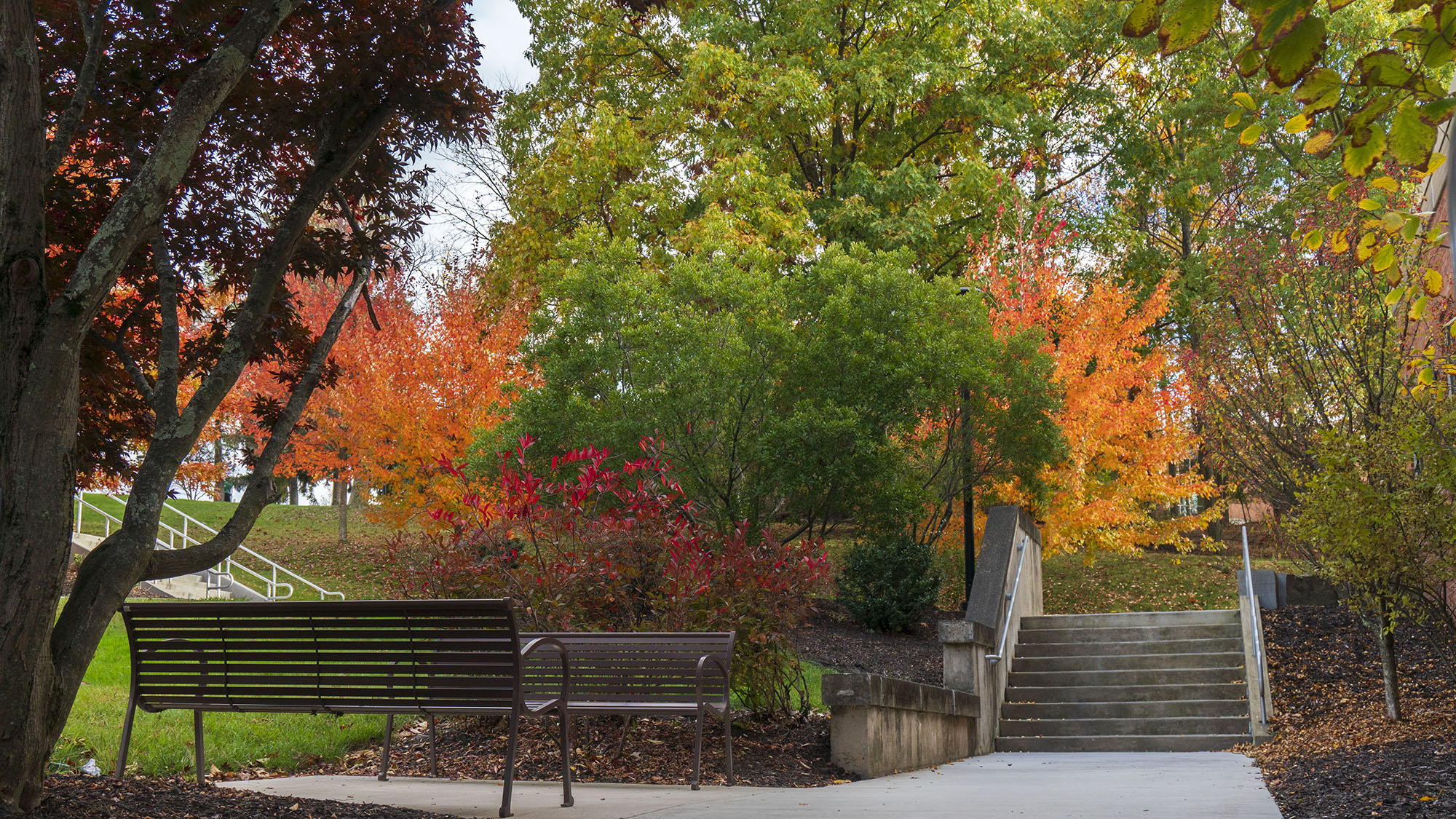 Autumn colors brighten the trees on the Penn State Scranton campus.