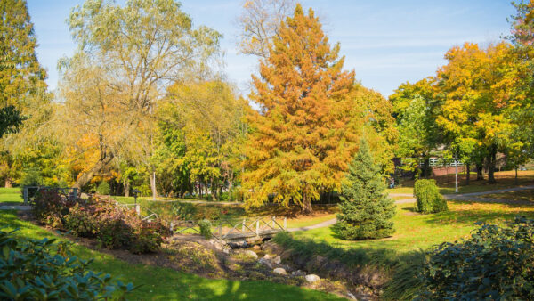 Trees on the Penn State Behrend campus begin to show signs of fall color.