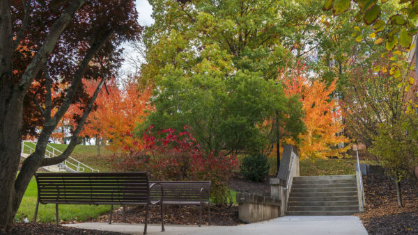Autumn colors brighten the trees on the Penn State Scranton campus.